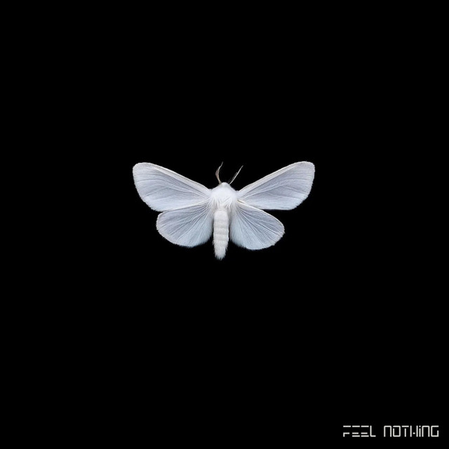 Feel Nothing cover art