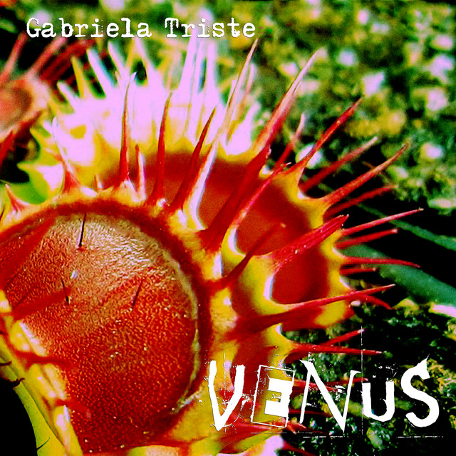 Venus album image