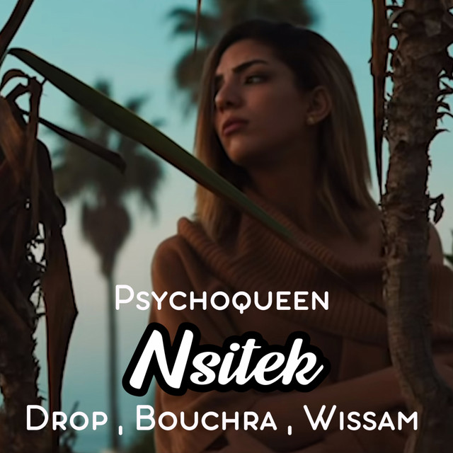 Nsitek cover art