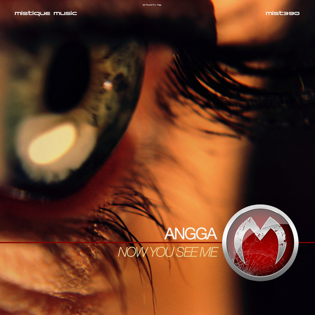 Now You See Me cover art