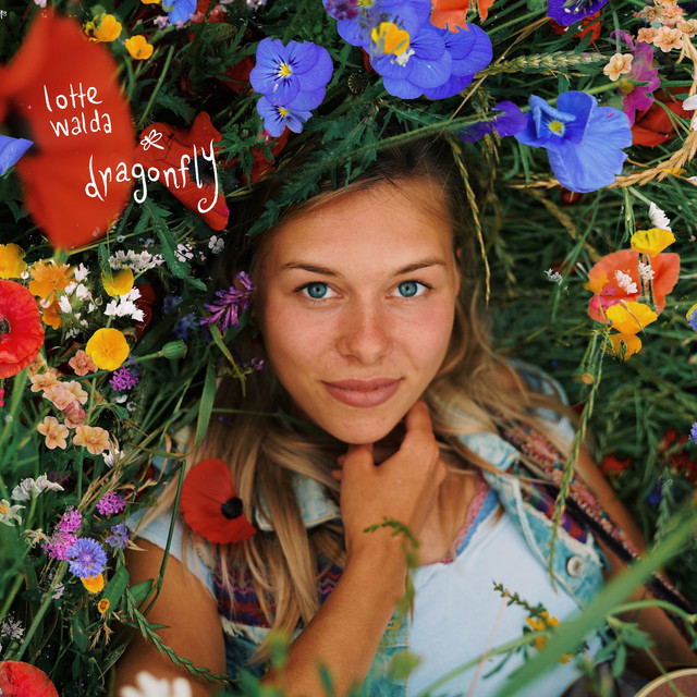 Dragonfly cover art