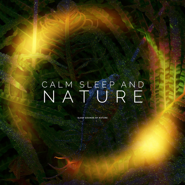 Calm Sleep and Nature - Album by Sleep Sounds of Nature | Spotify
