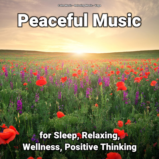 Peaceful Music for Sleep, Relaxing, Wellness, Positive Thinking cover art