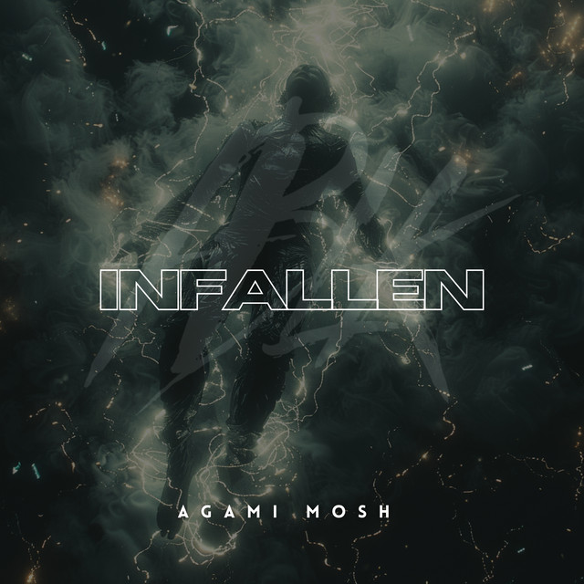 Infallen - Extended Mix album art