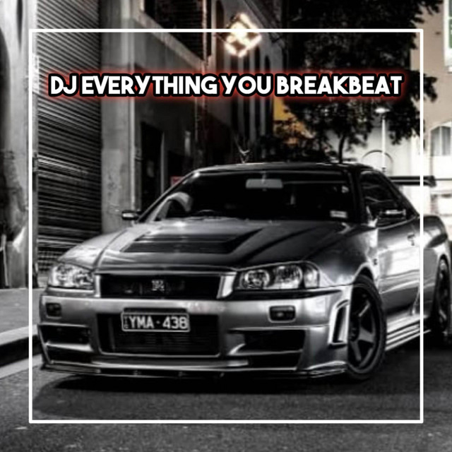 DJ EVERYTHING YOU WANT IN GOLD || DJ LILY BREAKBEAT