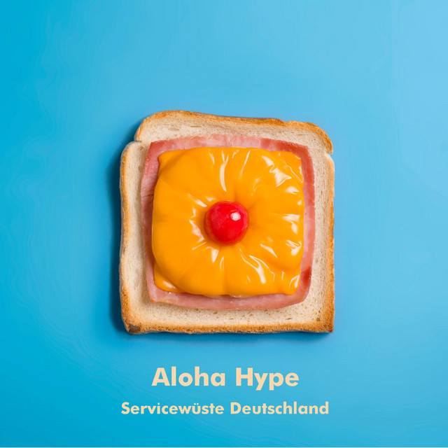 Servicewüste Deutschland cover art
