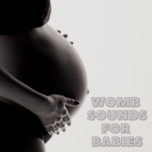 Womb Sounds for Babies cover art