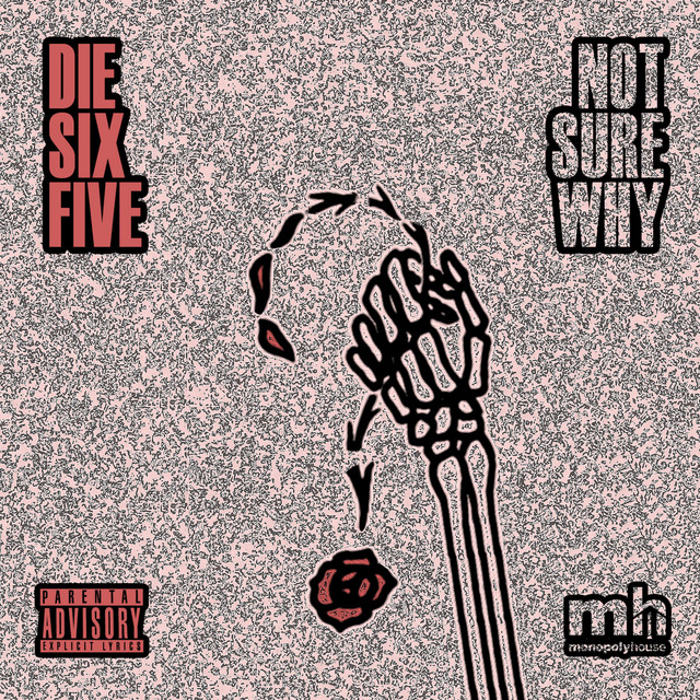 Not Sure Why cover art
