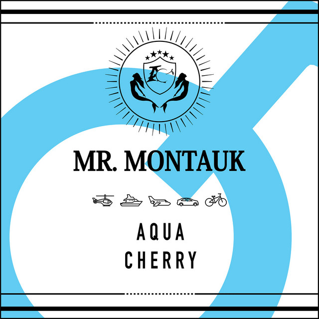 Mr Montauk cover