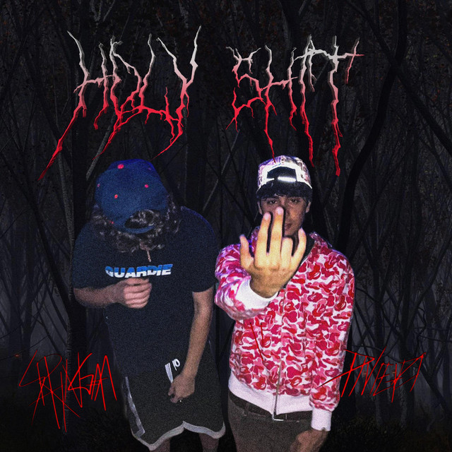 Holy Shit cover art