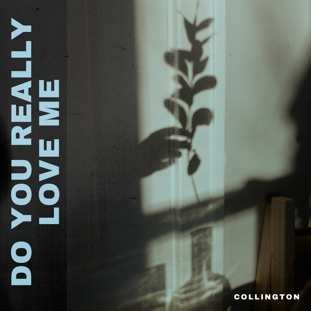 Do You Really Love Me album image