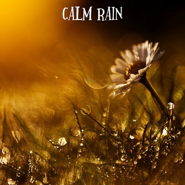 Calm Rain cover art