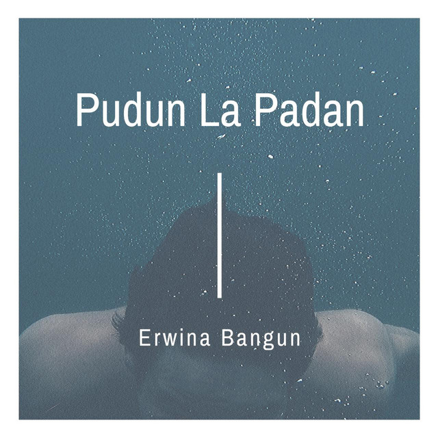 Pudun La Padan album image
