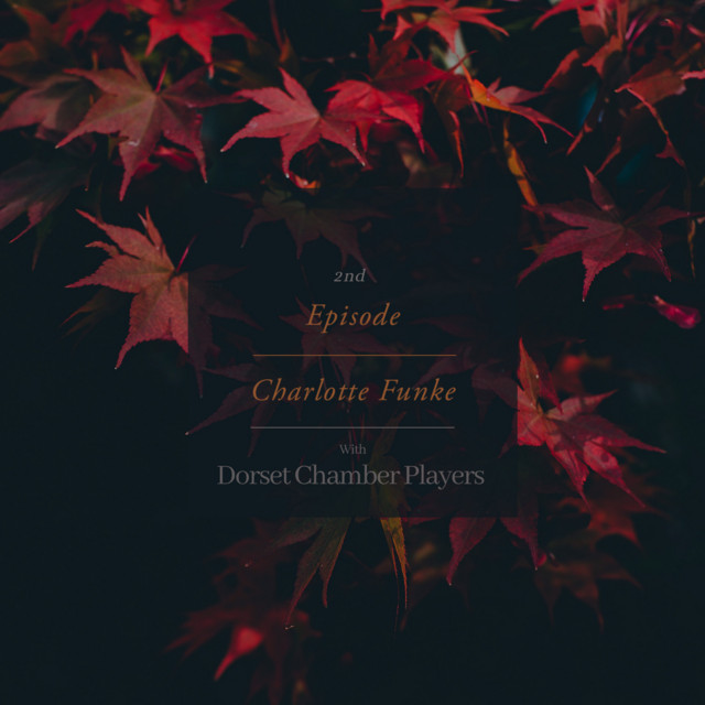 2nd Episode cover art