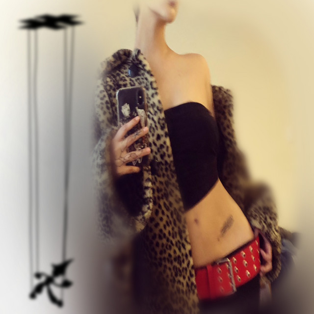 Animal Print cover art