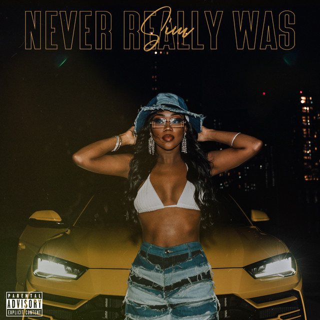 Never Really Was cover art