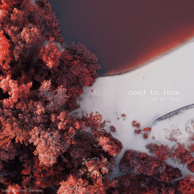 Need to Love (2nd Full Album) cover art