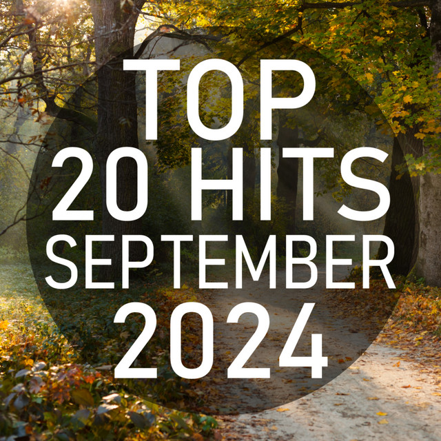 Top 20 Hits September 2024 (Instrumental) cover art