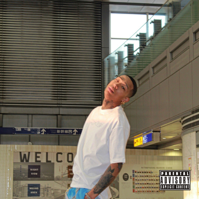 1 Side cover art