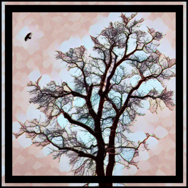 Escolhas cover art
