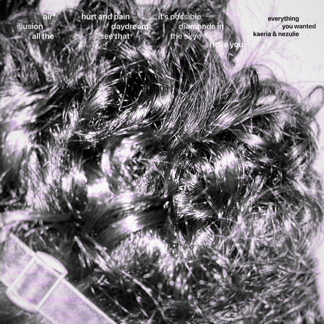 everything you wanted cover art