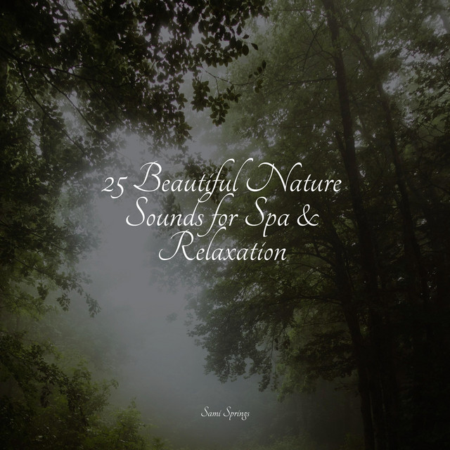 25 Beautiful Nature Sounds for Spa & Relaxation - Album by Exam Study ...