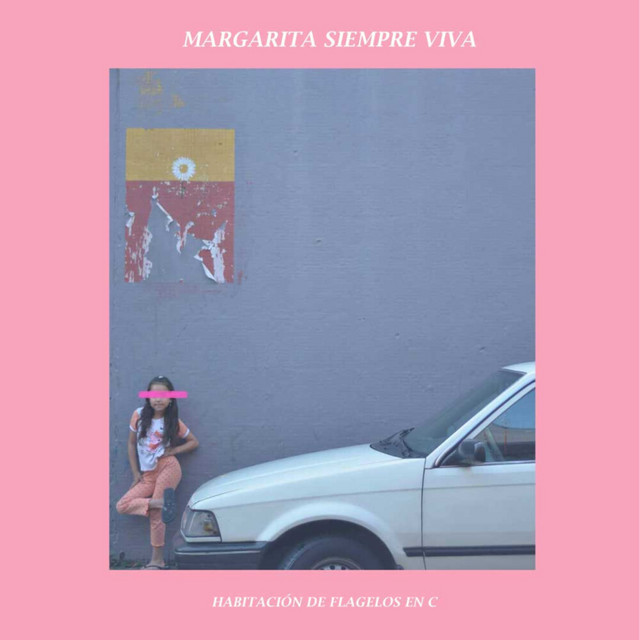 Habitación de Flagelos en C by Margarita Siempre Viva album cover