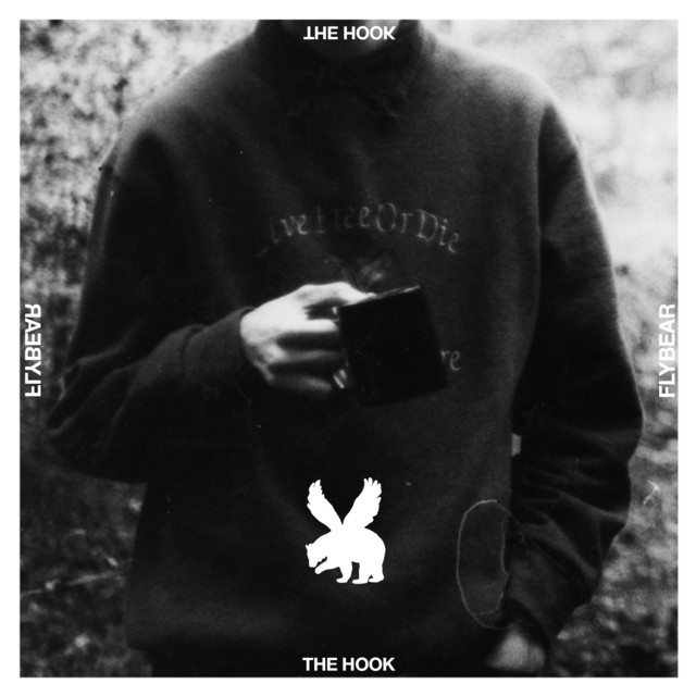 The Hook cover art
