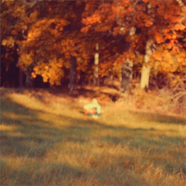Late Bloomer cover art