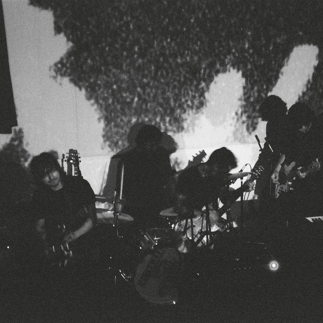 Acres of Fire (Band Version) album image