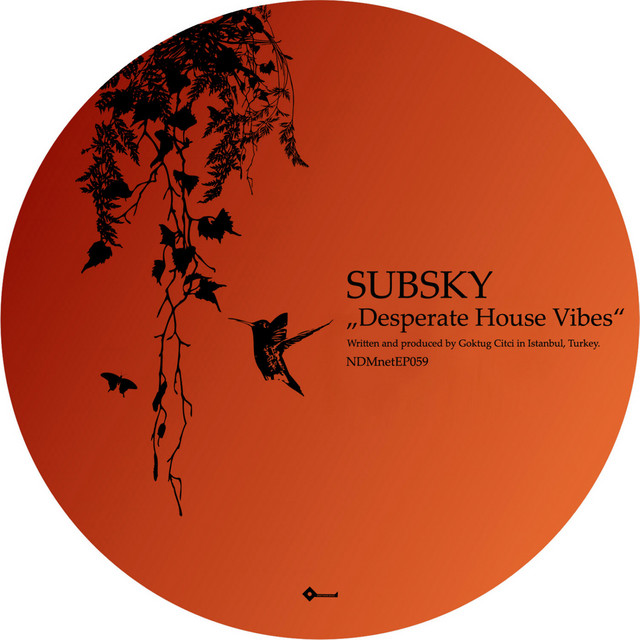 Desperate House Vibes cover art