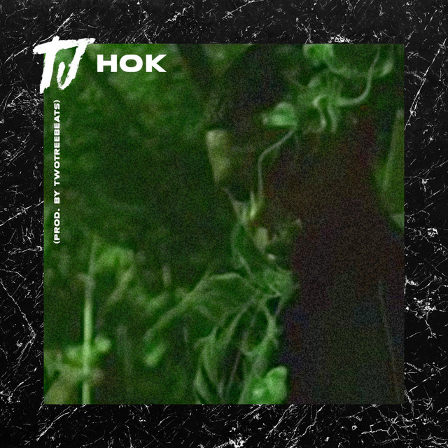 Hok cover art