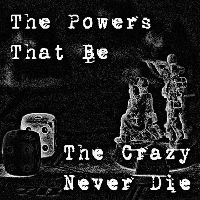 NEVER CRAZY photo
