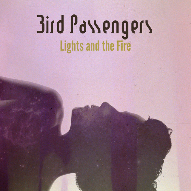 Lights and the Fire cover art