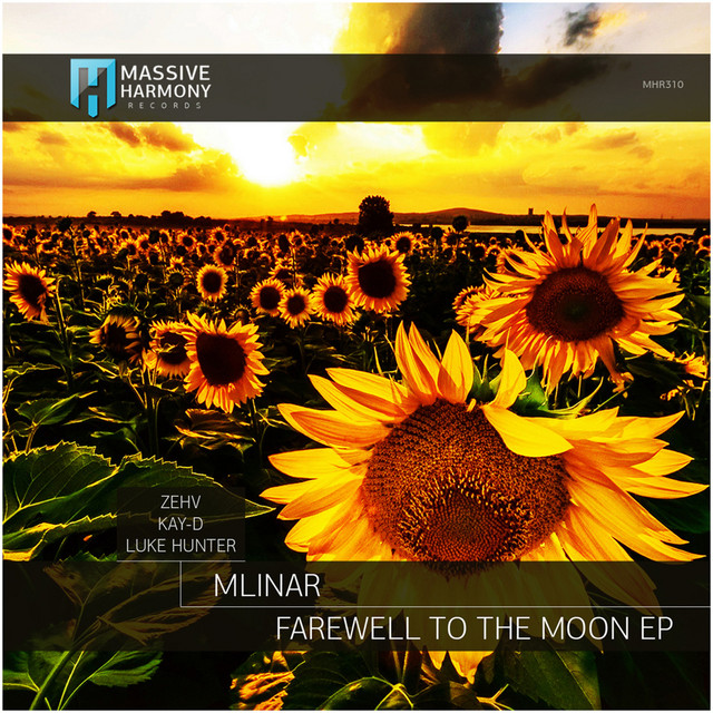 Farewell to the Moon cover art