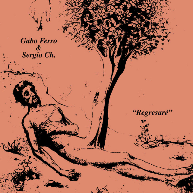 Regresaré cover