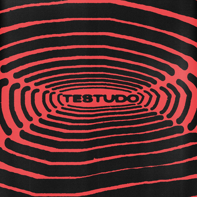 Testudo album art