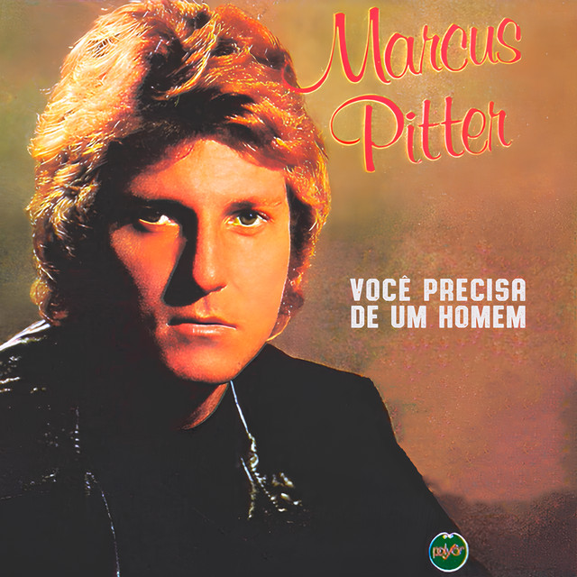 Você Precisa De Um Homem cover
