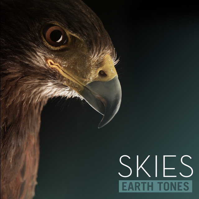 Earth Tones: Skies cover art