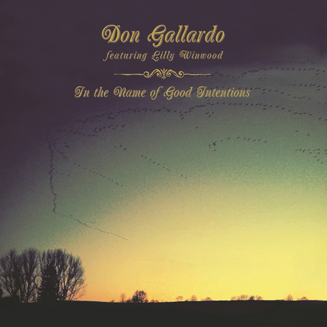 In the Name of Good Intentions cover art