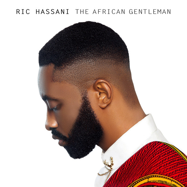 The African Gentleman cover art
