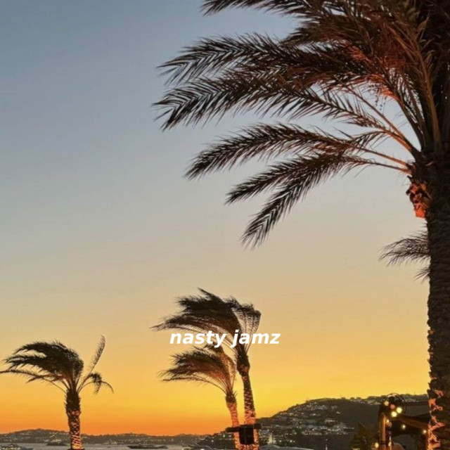 Nasty Jamz - Slowed & Reverb