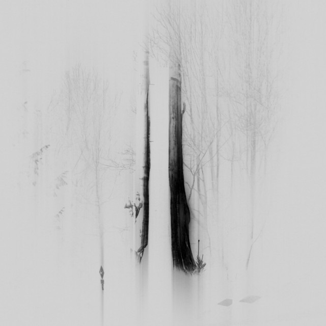 Reverie