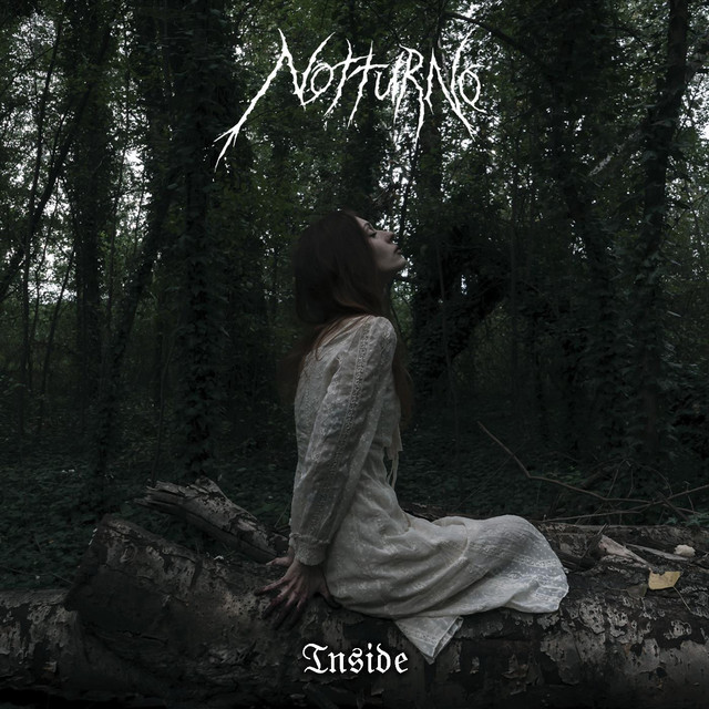 Inside cover art