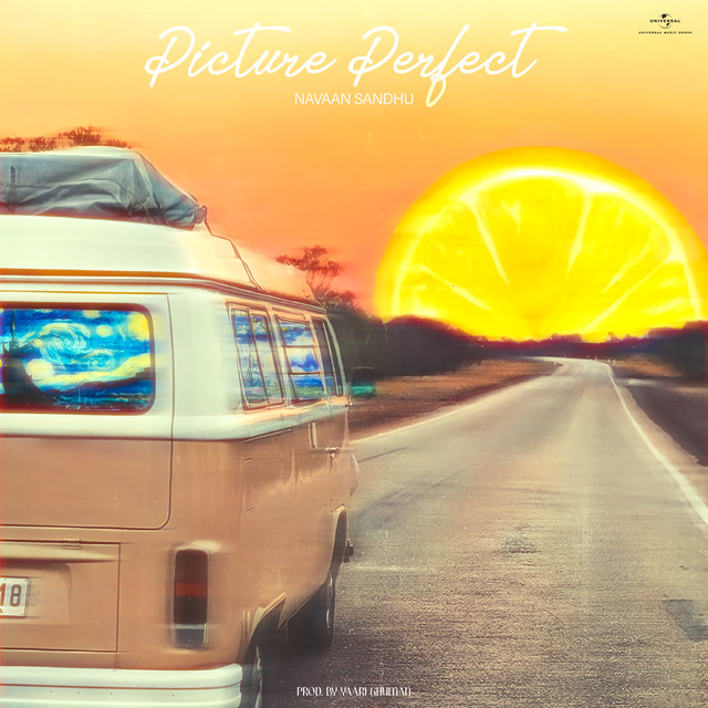 Picture Perfect cover