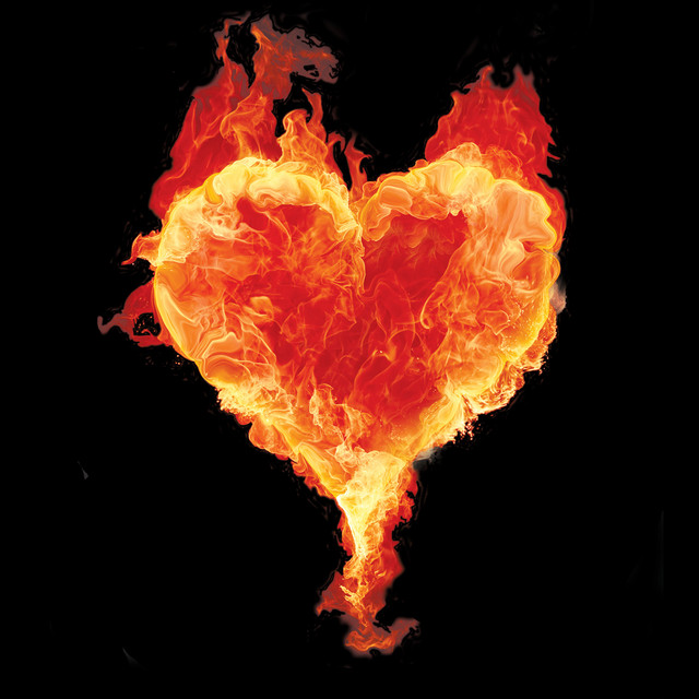 Love cover art
