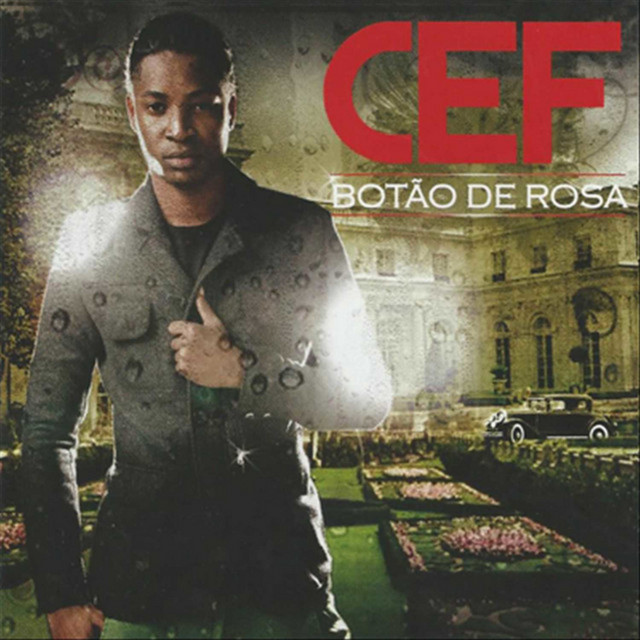 Botão de Rosa cover art