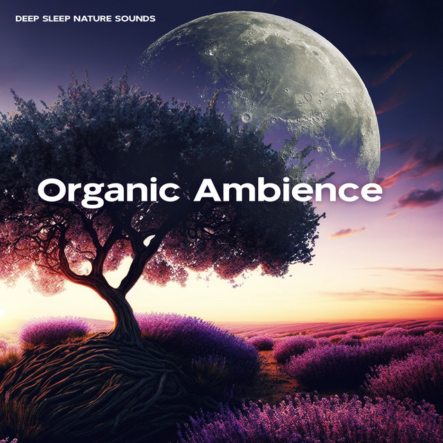 Organic Ambience - Album by Deep Sleep Nature Sounds | Spotify