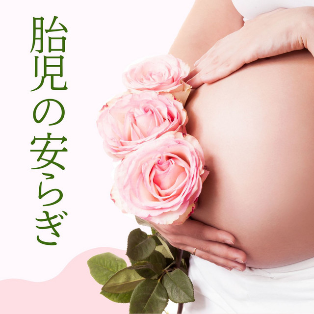 胎児 Photo