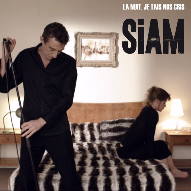 La nuit, je tais nos cris cover art